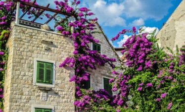 CROATIE – Excursions facultatives au départ du Top Clubs Energie – Medena
