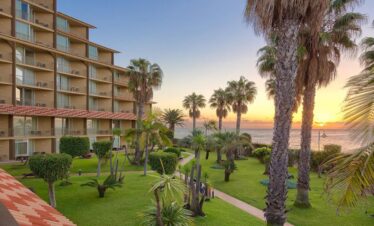 Hôtel The Views Oasis 4*NL