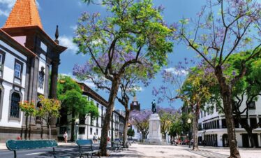 Au Cœur de Madère 3*NL – Logement Funchal