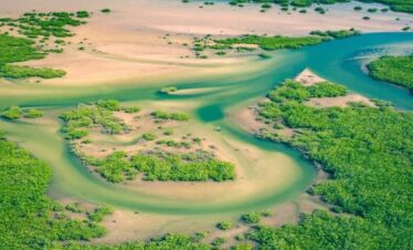 Au Cœur du Sénégal