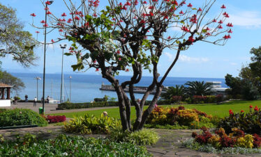 Au Cœur de Madère 4*NL – Logement Funchal